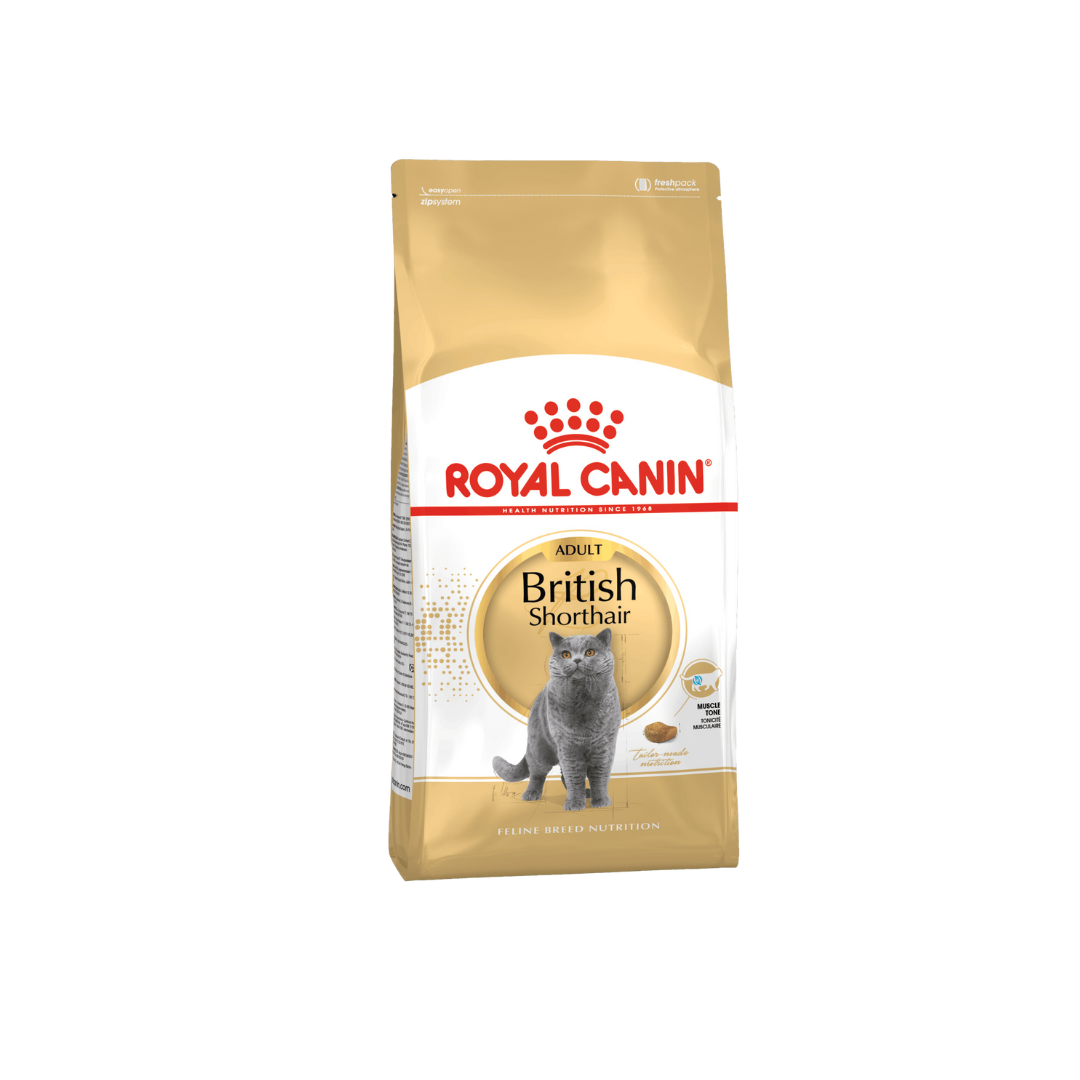 Royal Canin BSH 純種系列 英短成貓專屬配方．2kg/4kg/10kg（貓貓乾糧）